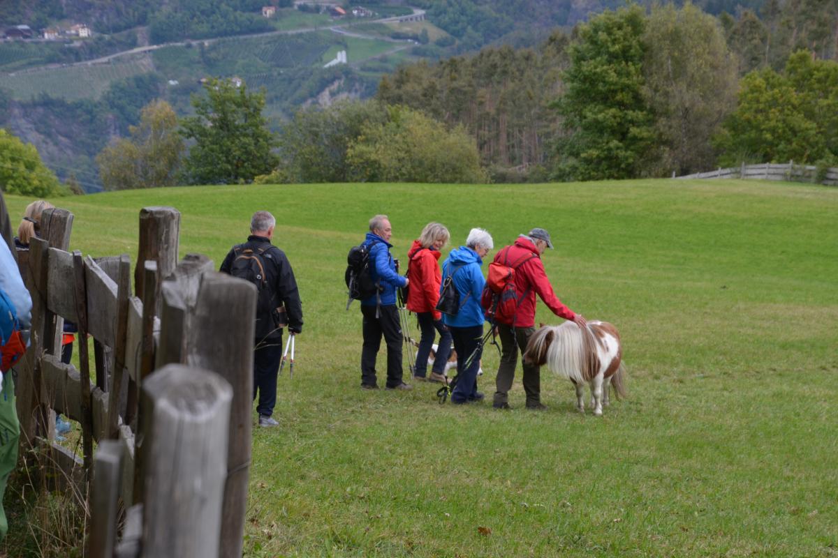 Zunerhof 12.10.2021